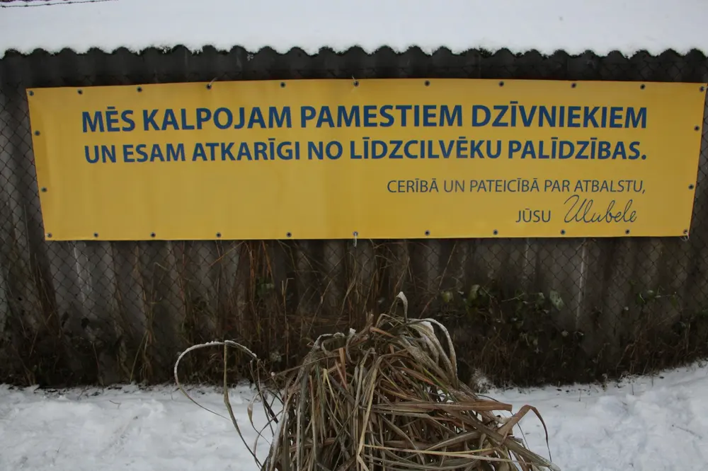 Doll’Arte · Izstādes fotogrāfija 1